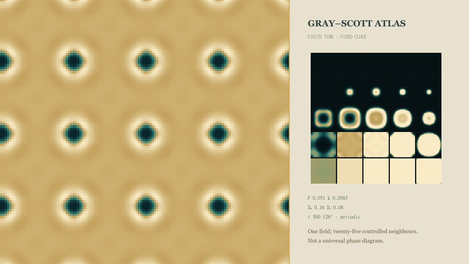 A deterministic Gray–Scott concentration field, standing in while the live feed–kill atlas is idle.