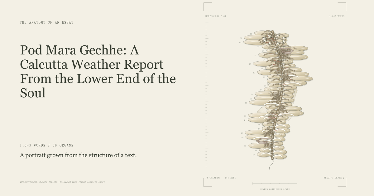 A literary specimen atlas with paragraph chambers, articulated sentence ribs, branching vessels and long-sentence coils grown from a Calcutta essay