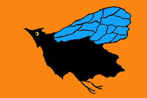 Black bird with a bright blue wing on an orange background.