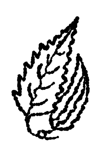 Bold black outline of a single veined leaf.