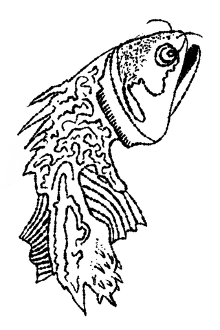 Black line drawing of a fish filled with wavy contour patterns.