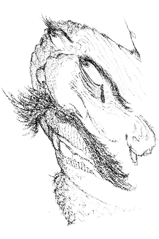 Monochrome pencil sketch of a horse's head in profile.