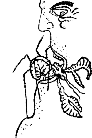 A long-faced man holds a leafy stem close to his open mouth.