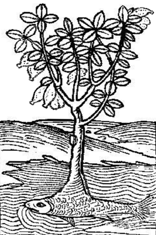 Leafy tree above rippling water with a fish beneath the trunk.